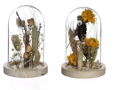 Produktbild von Glasgefäß mit Trockenblumen Natur Ø8cm (1 Stück) [IFS-29838]
