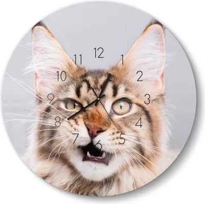 Produktbild von DEQORI Glasuhr Ø50 cm Zahlen 'Maine Coon Katze faucht' Wanduhr Glas Uhr Design leise