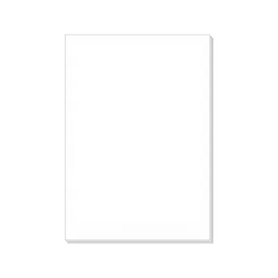 Image de Etiquette 210x297 A4 100l.