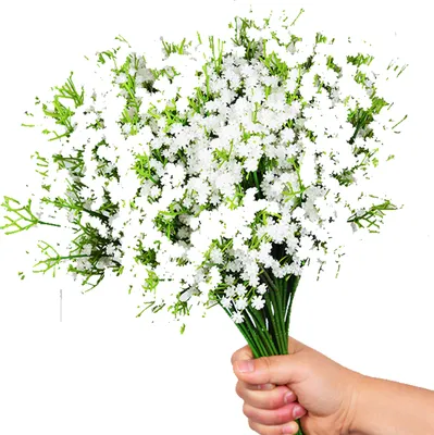 A hand holding a bouquet of white artificial baby's breath flowers.