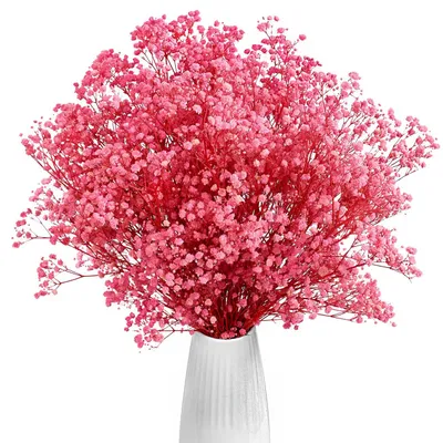 Getrocknetes Schleierkraut Rosa 43 cm – natürliche Trockenblumen