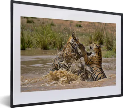 Produktbild von MuchoWow® MuchoWow® Gerahmtes Poster Junge Tiger spielen im Wasser 40x30 cm - Poster mit zchwarzem Bilderrahmen - Bilderrahmen - Poster im Rahmen