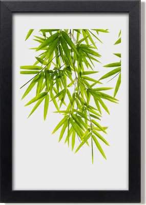 Produktbild von Bild 20x30 MDF-Rahmen, Wandkunst Bambusblätter