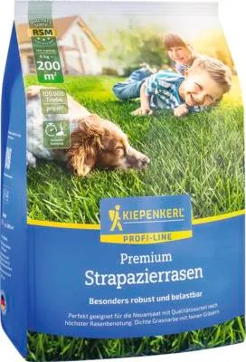 Produktbild von Kiepenkerl Rasensamen Active strapazierfähig für 200 m² 4 kg