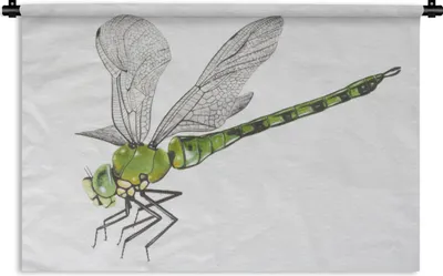 Produktbild von MuchoWow® Wandteppich Wandbehang Eine Illustration einer grünen Libelle auf einem weißen Hintergrund 90x60 cm Tapisserie Dekoration Wandtuch - Wandskulpturen - Bildteppich