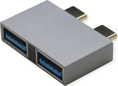 Zdjęcie produktu dla ROLINE 12.03.2947, 2x USB Type C, 2x USB Type A, Srebrny