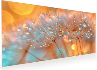 Produktbild von Küchenrückwand Spritzschutz Glas mit Motiv Pusteblumen Tropfen 40 x 40 cm