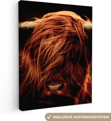Obrázek produktu pro OneMillionCanvasses® - Plátno - Skotský horal - Kráva - Rohy - Portrét - Zvířata, nástěnná malba, nástěnné dekorace obrazy obývací pokoj, 60x80cm