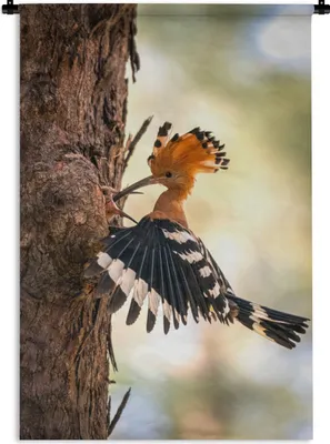 Produktbild von MuchoWow® Wandteppich Wandbehang Vogel - Baum - Wald 90x135 cm Tapisserie Dekoration Wandtuch - Baumwolle - Wandskulptur