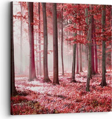 Produktbild von Bild auf Leinwand - Leinwandbild - Einteilig - Wald Rot Bäume - 30x30cm - Wand Bild - Wanddeko - Wandbilder - Leinwanddruck - Bilder - Wanddekoration - Leinwand bilder - Wandbild - AC30x30-4944
