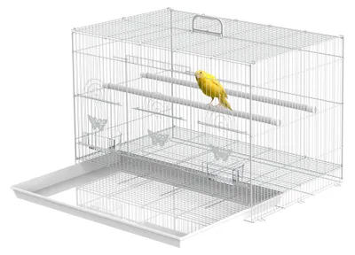 Produktbild von Vogelk?fig aus Metall mit Sitzstangen, Futtern?pfen und Griff, 60 x 41 x 41 cm