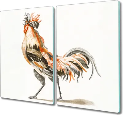 Produktbild von Coloray Hackbrett Küchenbrett Kochplattenabdeckung Schneidebrett Herdabdeckplatte 2x30x52 cm - Tier Vogel Huhn