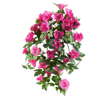 Produktbild von aplanta Künstliche Prunkwinde – Xanthe | 45 cm, für drinnen, Kunstpflanze, wie echt, Allergiker geeignet, pflanzliche Dekoration Praxis, Office & Wohnzimmer