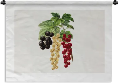 Produktbild von MuchoWow® Wandteppich Wandbehang Beeren - Jahrgang - Obst 90x67.5 cm Tapisserie Dekoration Wandtuch - Fototeppich - Wand-Skulpturen