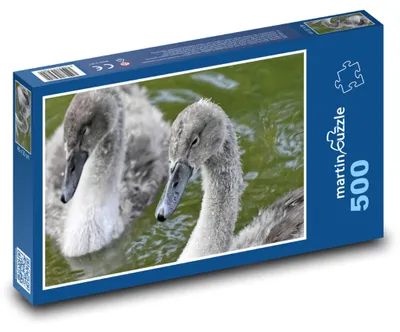 Produktbild von Puzzle 500 Junge Schwäne auf dem See - martinpuzzle