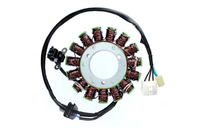 Zdjęcie produktu dla Stojan ElectroSport ESG381 do alternatora dla VZR 1800 M Intruder