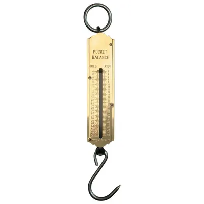 Produktbild von Hesse Taschenfederwaage 50 kg