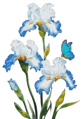 Image de Peinture par numéros BRUSHME 40 x 50 cm Iris