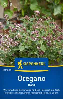 Produktbild von Kiepenkerl Oreganosamen Dost Origanum vulgare 100 Pflanzen