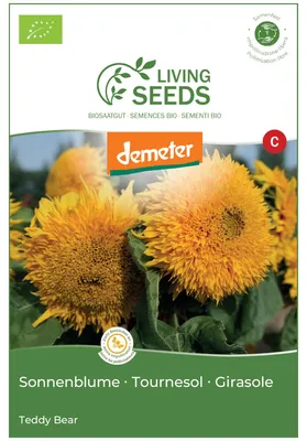Produktbild von Sonnenblume Teddy Bear 5.1g Saatgut von Living Seeds