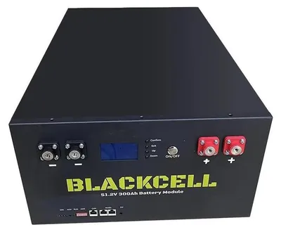 Produktbild von Batteriespeicherbox, Metallkonstruktion, kompatibel mit 16s Lifepo4-Batterien, 1 Stück Batteriekasten