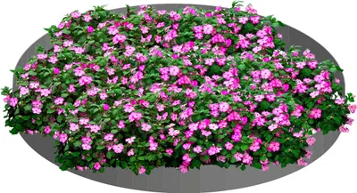 Produktbild von Blumenpyramide [2 Stk: 120 x 13,5cm] | Baumumrandung | Pflanzringe | Beeteinfassung