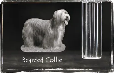 Produktbild von Bearded Collie - Stifthalter, Kristallorganizer mit Hundefoto, einzigartige Schreibtischdekoration der Marke Art-Dog