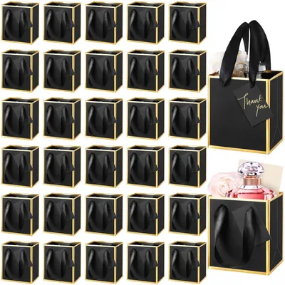 Productafbeelding van Mini Papieren Geschenkzakjes met Handvatten