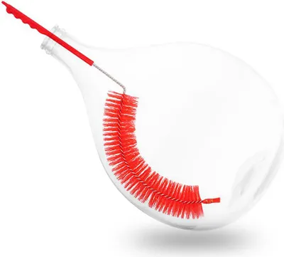 A red bottle brush inside a clear glass carboy.