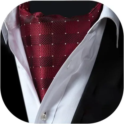 Productafbeelding van Sjaal voor heren, model Ascot, elegant, met stippen, geschikt voor zakelijke gelegenheden, kleur: bordeauxrood