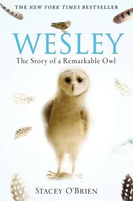 Immagine prodotto di Wesley