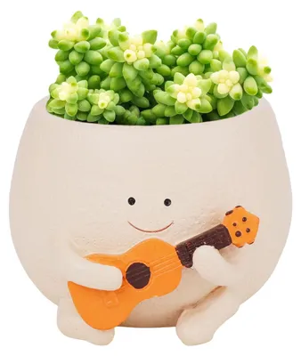 Immagine prodotto di Solidchoice - Vaso per piante in resina a forma di faccina sorridente, con foro di drenaggio