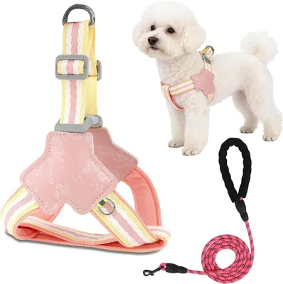 Imagen del producto de Correa para perro ajustable y reflectante, talla S, ideal para paseos diarios