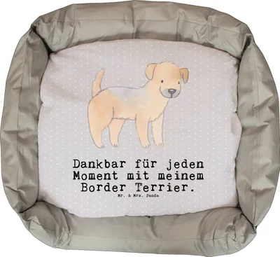 Produktbild von Mr. & Mrs. Panda Hundekissen Border Terrier Moment - Grau Pastell - Geschenk, Valentinstag, Hund, Vatertag, Weihnachten, zur Einweihung, Dankeschön