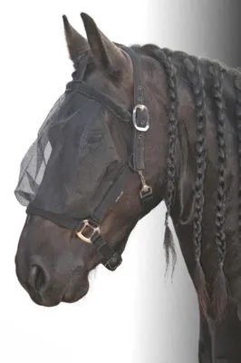Produktbild von Harry`s Horse Fliegenmaske mit integriertem Halfter, schwarz in F/S