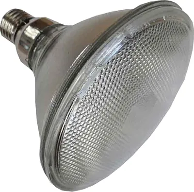 Zdjęcie produktu dla Lampa na podczerwień Philips PAR38 IR 175W E27 230 CL