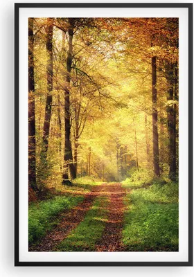 Produktbild von Gerahmtes Poster - Schwarzer Rahmen - Wald Baum Natur - 61x91,5 cm - Wand Bild - Wanddeko - Wandbilder - Kunstposter - Wandposter - Bilderrahmen - Bilder - Kunstdruck - Wandbild - P2BPA61x91-3718