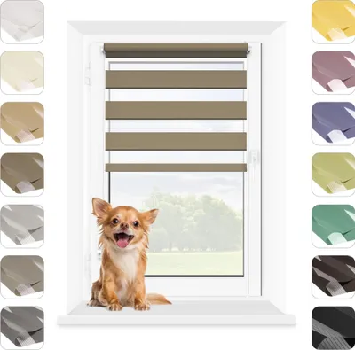 A chihuahua dog sits on a windowsill in front of a window with blinds. Multiple color swatches of blinds are displayed on the sides.