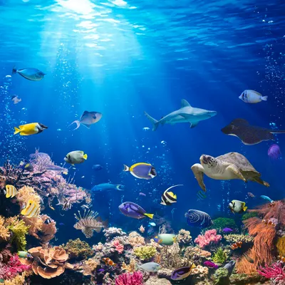 Produktbild von homeBLOCKrocks® MAGNET „deepsea I“