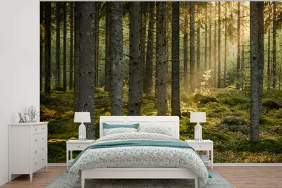 Produktbild von MuchoWow® Fototapete für Wohnzimmer oder Schlafzimmer Wandtapete Vinyl Motivtapete Wald - Baum - Sonne - 450x300 cm - Gemusterte