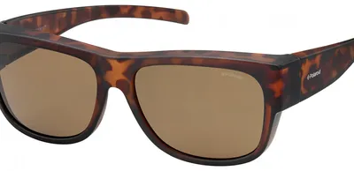 Image de Lunettes de soleil unies à bord plein Polaroid PLD9003/S, plastique