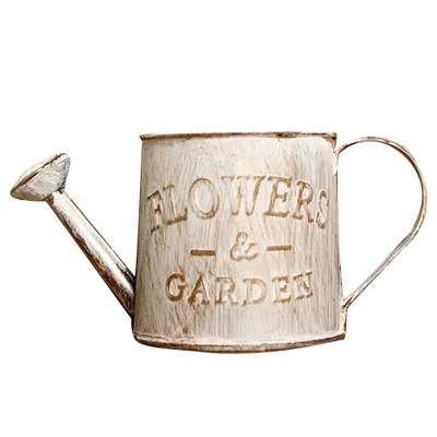Produktbild von Vintage Buchstaben graviert Garten Bonsai Pflanze Blume Eisen Gießkanne Topf Wasserkocher-Beunruhigtes Weiß