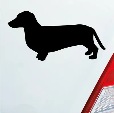 Produktbild von Auto Aufkleber Dackel Dog Hund Tiefergelegt 10x5 cm Schwarz Matt Sticker Heckscheibenaufkleber