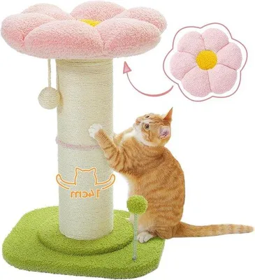Image de Petit arbre à chat avec un tronc épais et une plate-forme amovible