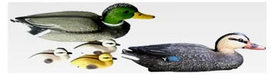 Produktbild von Schwimmenten-Familie für Teich 5-teilig, Deko-Enten aus Kunststoff