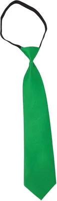 Productafbeelding van Fiestas Guirca - Effen das (FG453) (één maat) (groen)