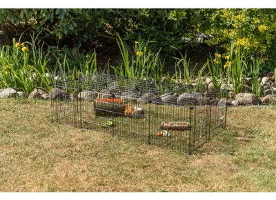 Produktbild von TRIXIE Geschlossenes Freilaufgehege aus Metall für Meerschweinchen und Kaninchen, erweiterbar - 152 × 38 × 72 cm