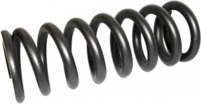 Produktbild von Rockshox Federfeder 250lb 240x76 gr