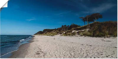 Produktbild von ARTland Poster Am Weststrand- Ostsee - Darss Größe: 100x50 cm