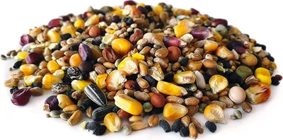 Produktbild von Taubenfutter 20KG | Karpfen futter